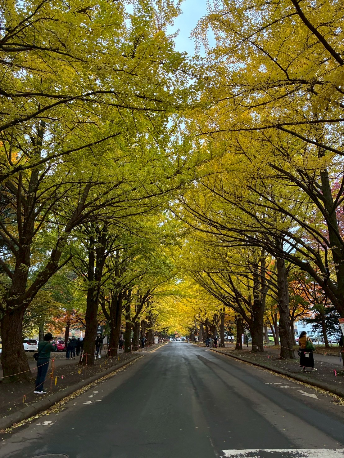 アイラボ 10月レクリエーション報告サムネイル