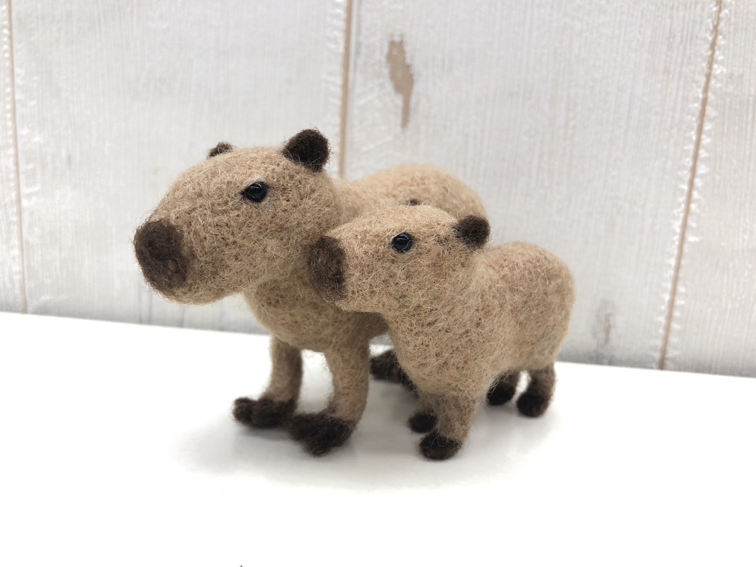 サンライフ 🐾新商品紹介🐾サムネイル