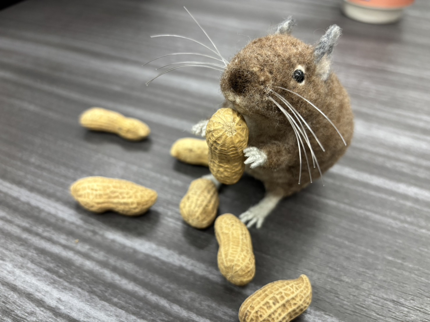 サンライフ🐭完成品の紹介サムネイル
