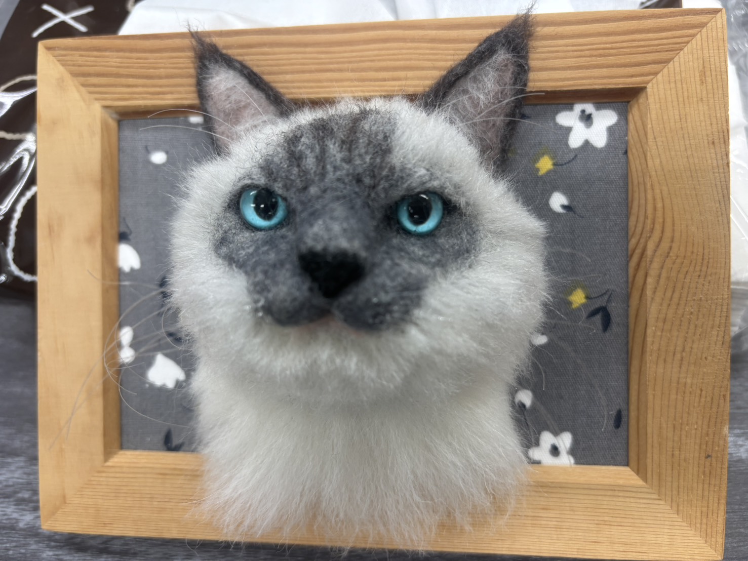 サンライフ🐱完成品の紹介サムネイル