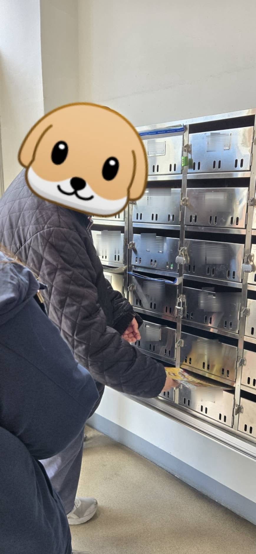 ポスティング作業が始まりました！サムネイル
